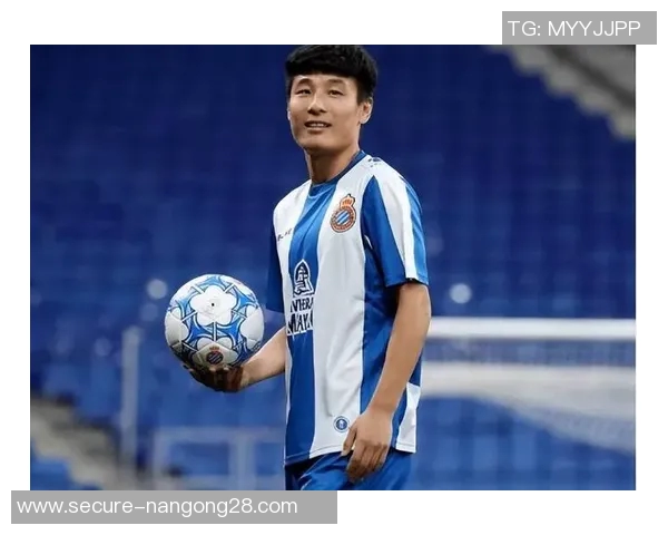 国内足球明星简历排名全解析揭示球员实力与成就的全面对比